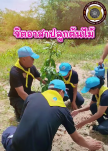 กิจกรรมจิตอาสาปลูกต้นไม้